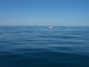 Ein schöner Tag zum Fischen - Smøla Blue!