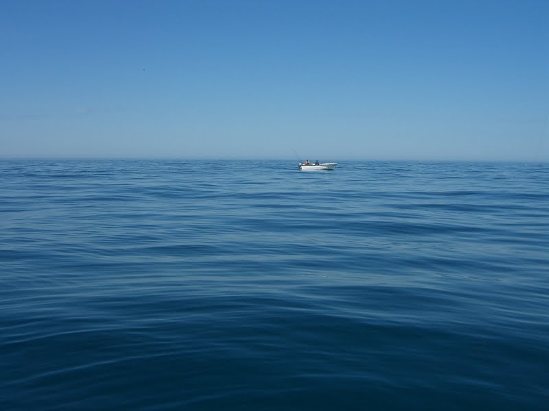 Ein schöner Tag zum Fischen - Smøla Blue!