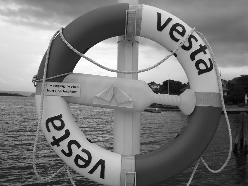 Seerettung auf Bygdøy? - kein Problem!
