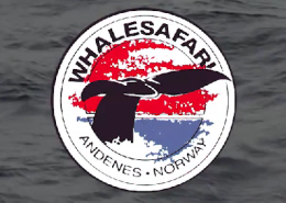 Walsafari